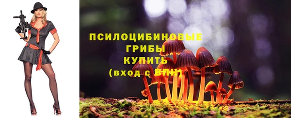 не бодяженный Гусь-Хрустальный