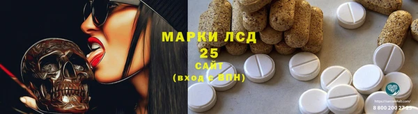 СК Гусев