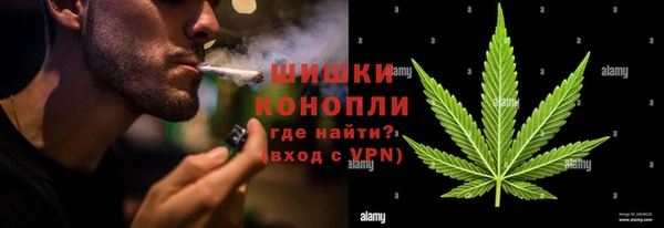 СК Гусев