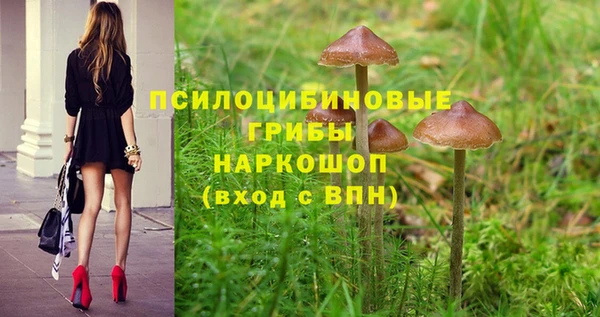 СК Гусев