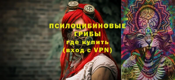 гидра Дмитров