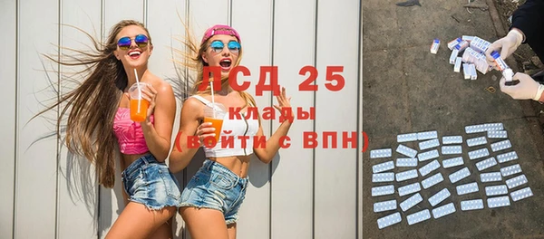 гидра Дмитров