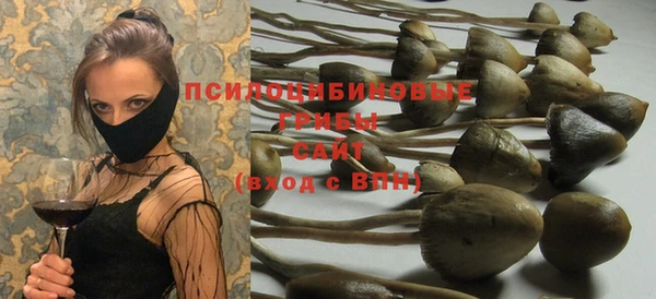 не бодяженный Гусь-Хрустальный