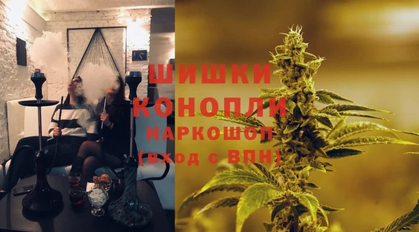 бошки Гусиноозёрск