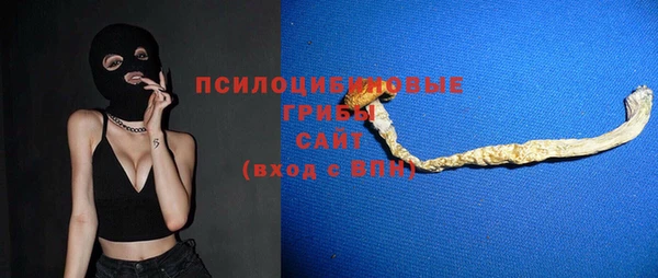СК Гусев