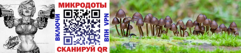 Галлюциногенные грибы Cubensis  Купить где  Далматово 